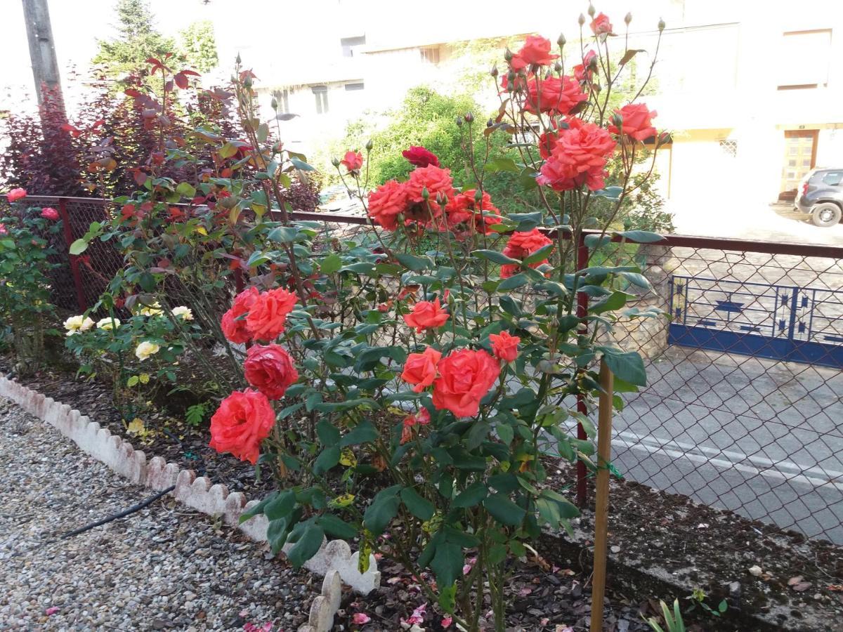 Fumel Bed And Breakfast Les Roses Multicolores Du 47 מראה חיצוני תמונה