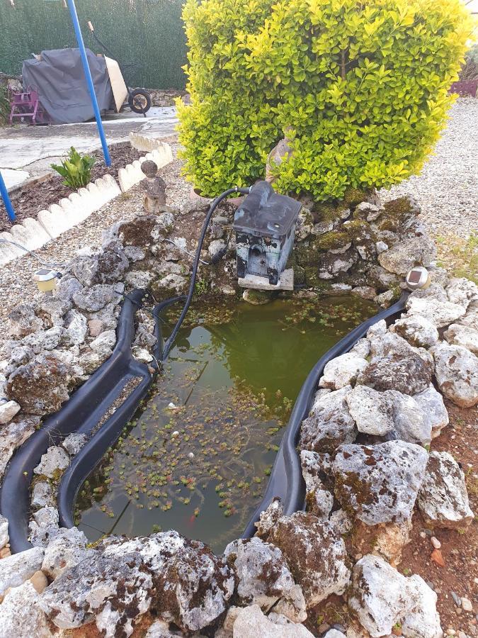 Fumel Bed And Breakfast Les Roses Multicolores Du 47 מראה חיצוני תמונה