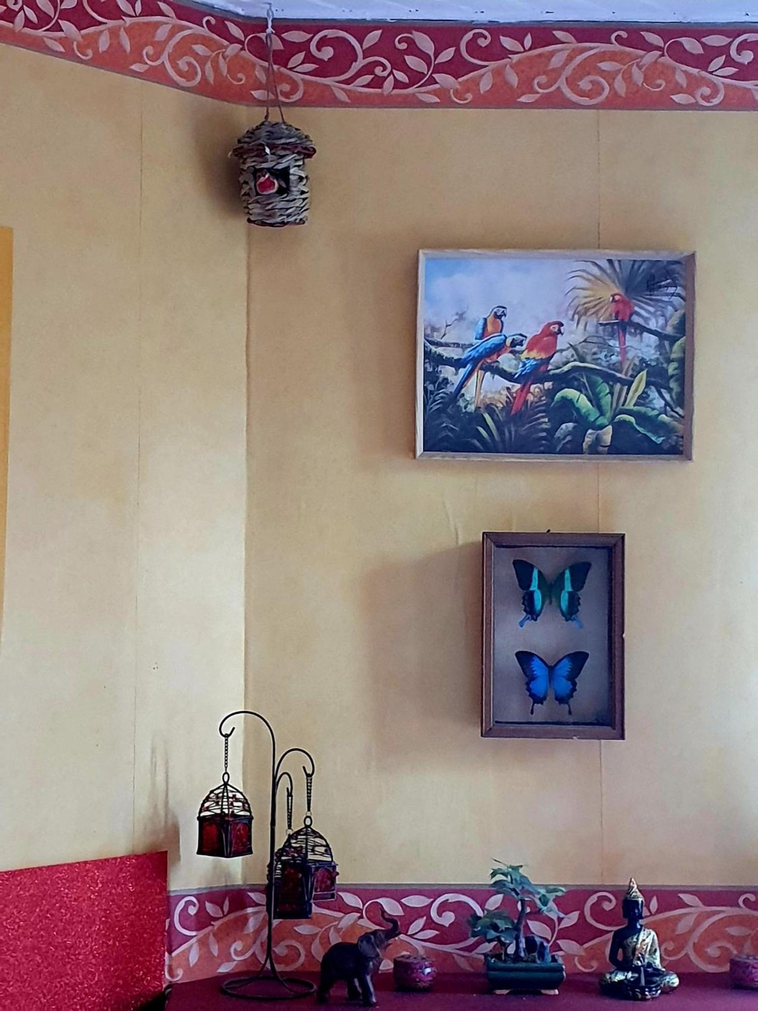 Fumel Bed And Breakfast Les Roses Multicolores Du 47 מראה חיצוני תמונה